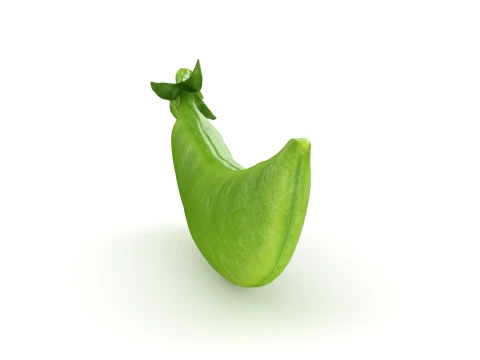 Snap Pea 01 3D Model