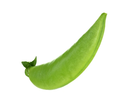 Snap Pea 01 3D Model