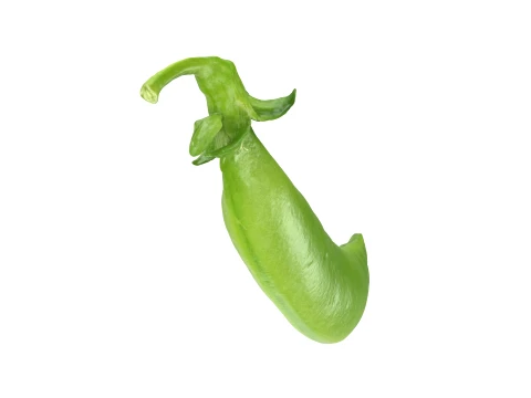 Snap Pea 01 3D Model