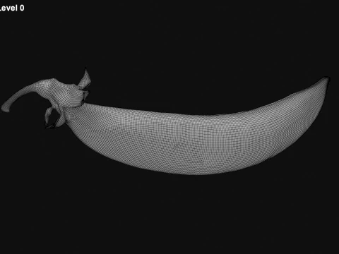 Snap Pea 01 3D Model