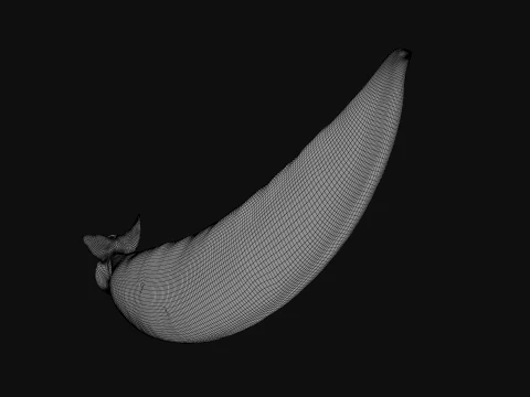 Snap Pea 01 3D Model
