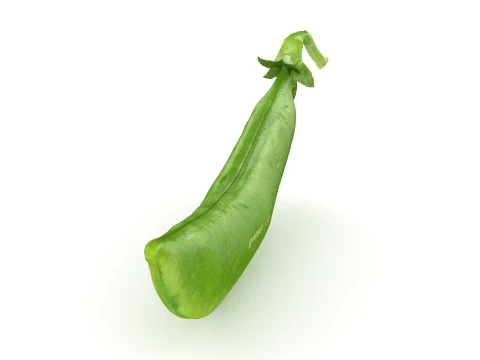 Snap Pea 02 3D Model