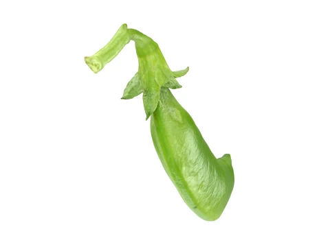 Snap Pea 02 3D Model