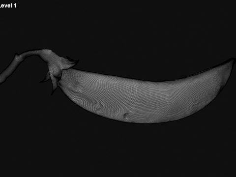 Snap Pea 02 3D Model