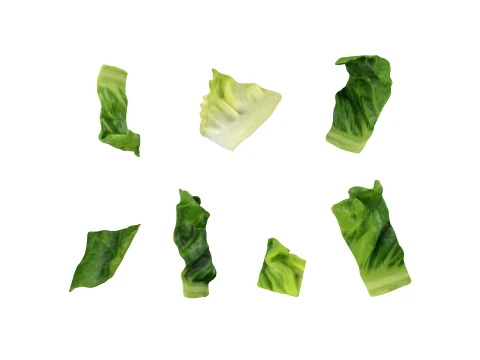 Chopped Lettuce Modelo 3D
