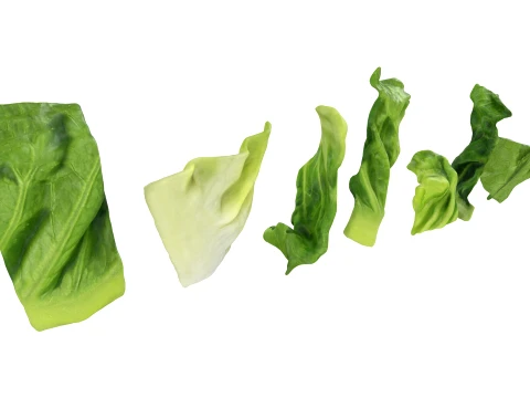 Chopped Lettuce 3D Model