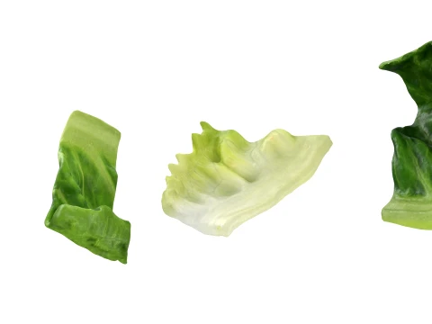 Chopped Lettuce 3D Model