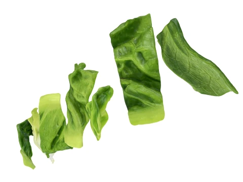 Chopped Lettuce 3D Model