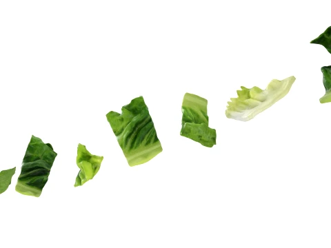Chopped Lettuce 3D Model