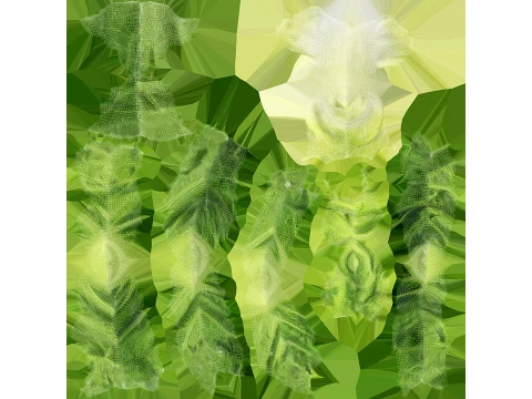 Chopped Lettuce 3D Model