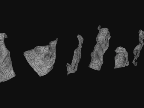 Chopped Lettuce 3D Model