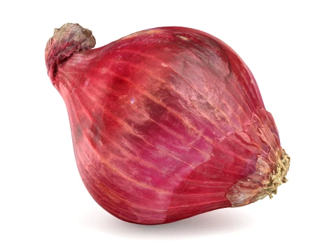 Whole Red Onion Modelo 3D