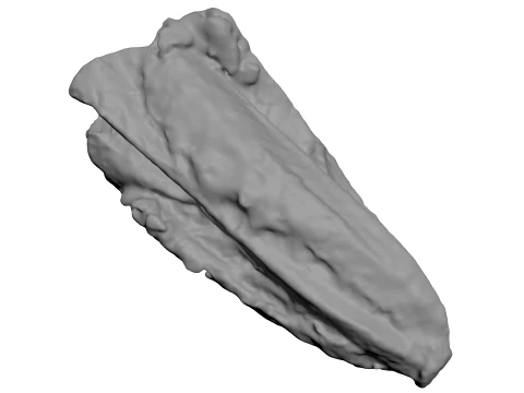 Romaine Lettuce 01 - For 3D Print 3D Print Model