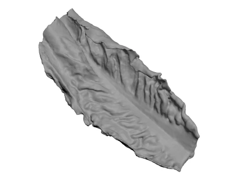 Romaine Lettuce Leaf 02 - For 3D Print 3D Print Model