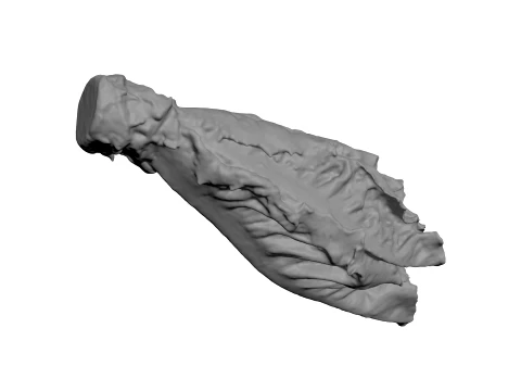 Romaine Lettuce Heart - For 3D Print 3D Print Model