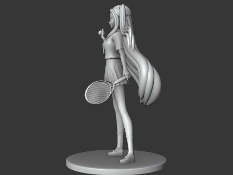 Mira 3D Print Model