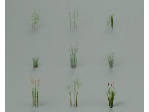 Wetland Plants Pack 9 Species 27 Clumps PBR 2K 3D Model