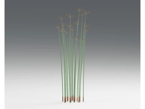 Softstem Bulrush Schoenoplectus Tabernaemontani PBR 3D Model