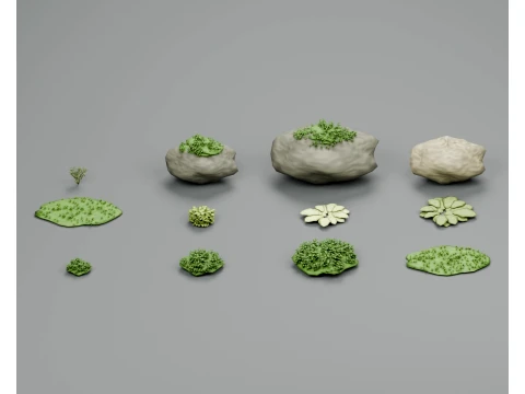 숲 이끼 이끼와 이끼 낀 바위 PBR 컬렉션 3D 모델