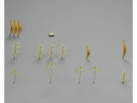 Marine Kelp Giant Bull Ribbon Seaweed PBR Kit 3D Model