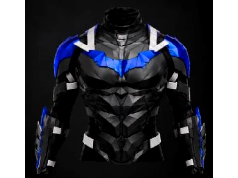 Nightwing costume 3D Print Model